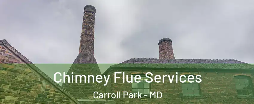 Chimney Flue Services Carroll Park - MD