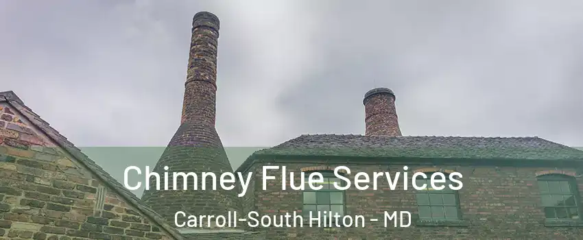 Chimney Flue Services Carroll-South Hilton - MD