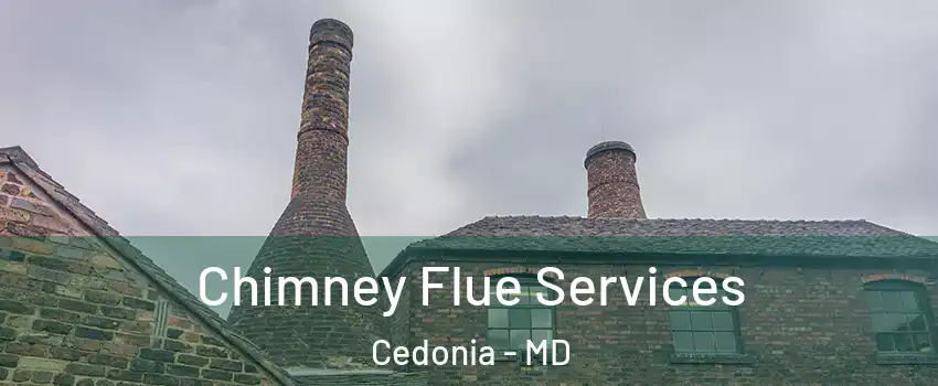 Chimney Flue Services Cedonia - MD
