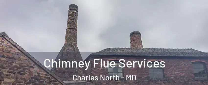 Chimney Flue Services Charles North - MD