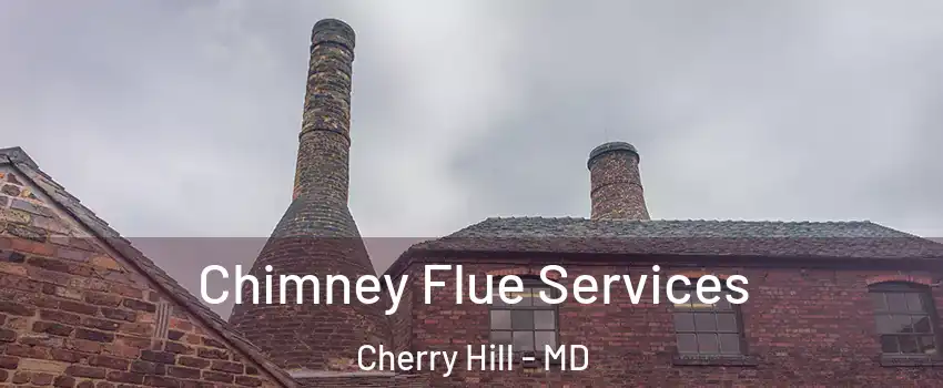 Chimney Flue Services Cherry Hill - MD