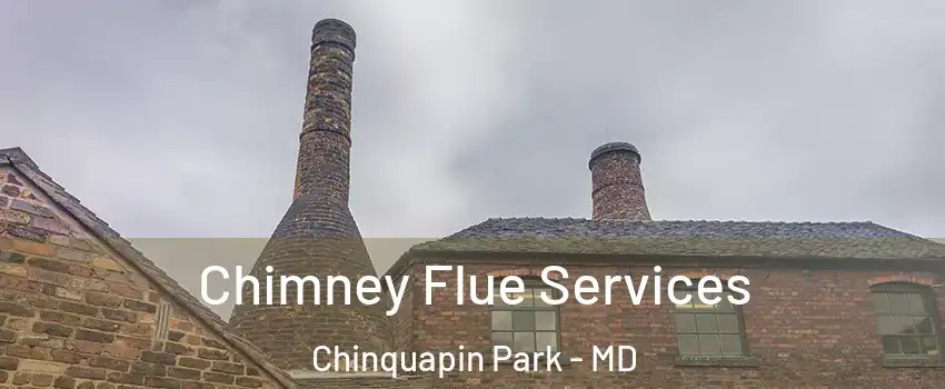 Chimney Flue Services Chinquapin Park - MD