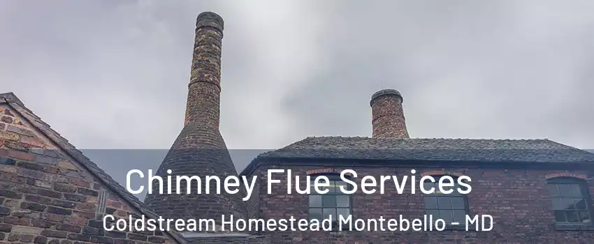 Chimney Flue Services Coldstream Homestead Montebello - MD