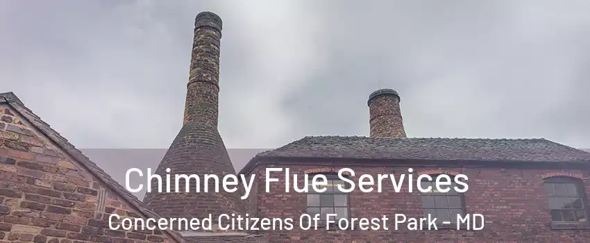 Chimney Flue Services Concerned Citizens Of Forest Park - MD