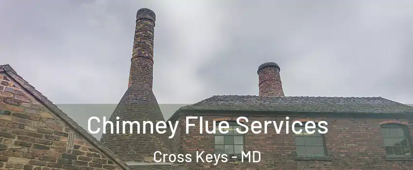 Chimney Flue Services Cross Keys - MD