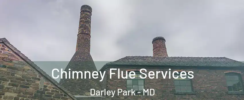 Chimney Flue Services Darley Park - MD