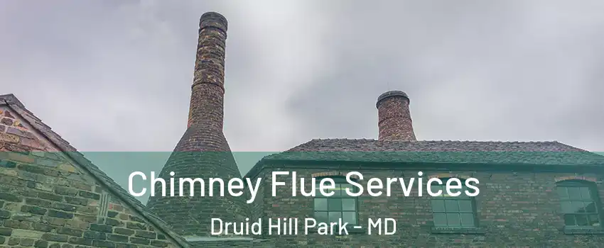 Chimney Flue Services Druid Hill Park - MD
