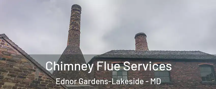 Chimney Flue Services Ednor Gardens-Lakeside - MD
