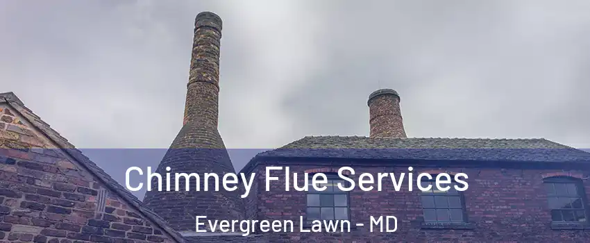 Chimney Flue Services Evergreen Lawn - MD