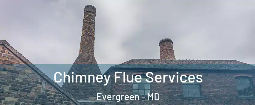 Chimney Flue Services Evergreen - MD