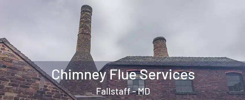 Chimney Flue Services Fallstaff - MD