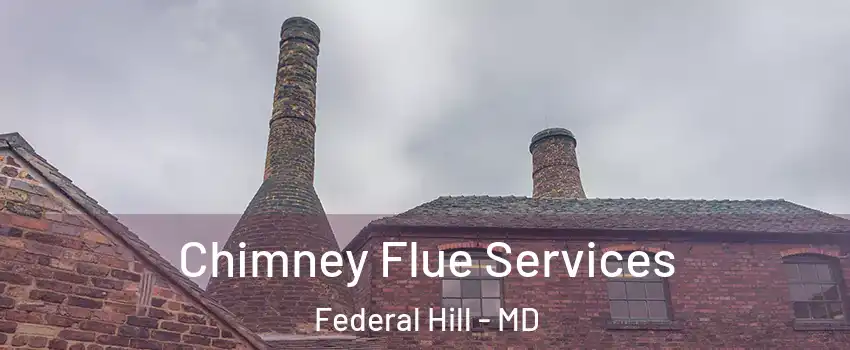Chimney Flue Services Federal Hill - MD