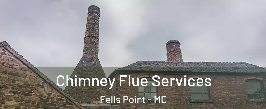 Chimney Flue Services Fells Point - MD
