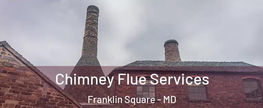 Chimney Flue Services Franklin Square - MD