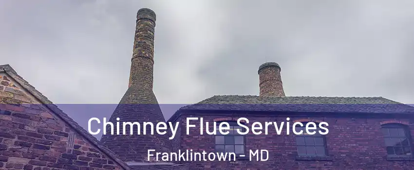 Chimney Flue Services Franklintown - MD
