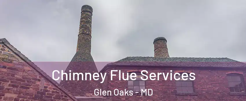 Chimney Flue Services Glen Oaks - MD