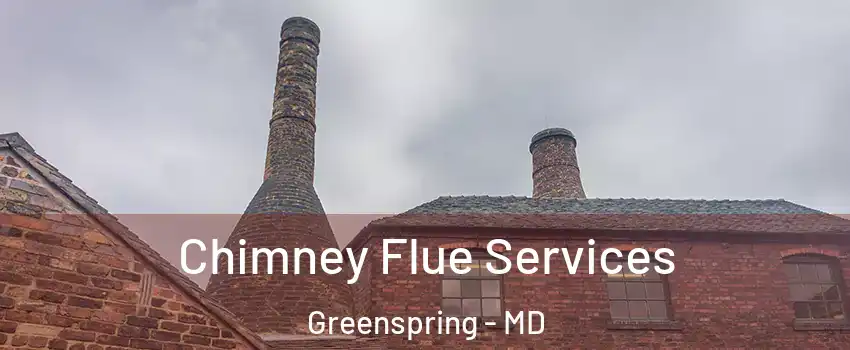 Chimney Flue Services Greenspring - MD
