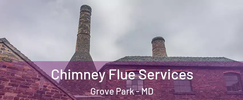 Chimney Flue Services Grove Park - MD