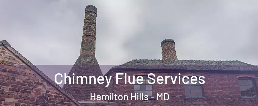 Chimney Flue Services Hamilton Hills - MD
