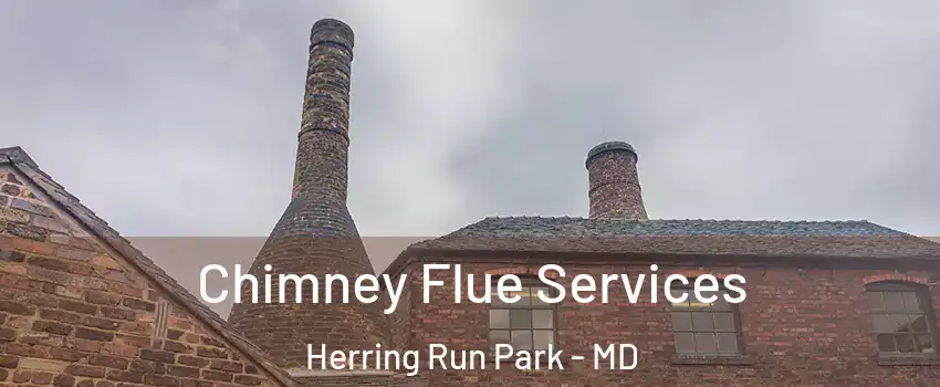 Chimney Flue Services Herring Run Park - MD