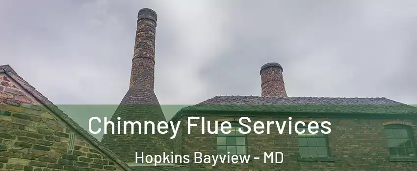 Chimney Flue Services Hopkins Bayview - MD