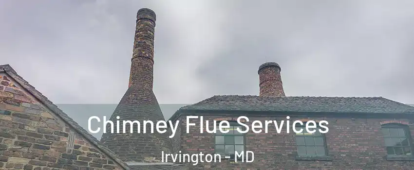 Chimney Flue Services Irvington - MD
