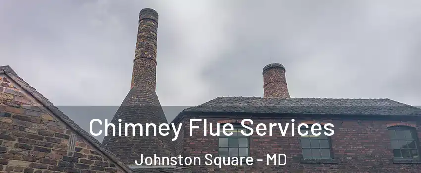 Chimney Flue Services Johnston Square - MD
