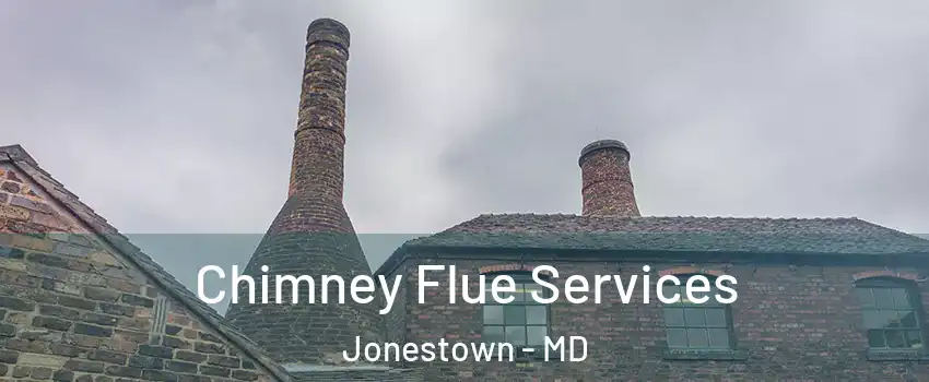 Chimney Flue Services Jonestown - MD