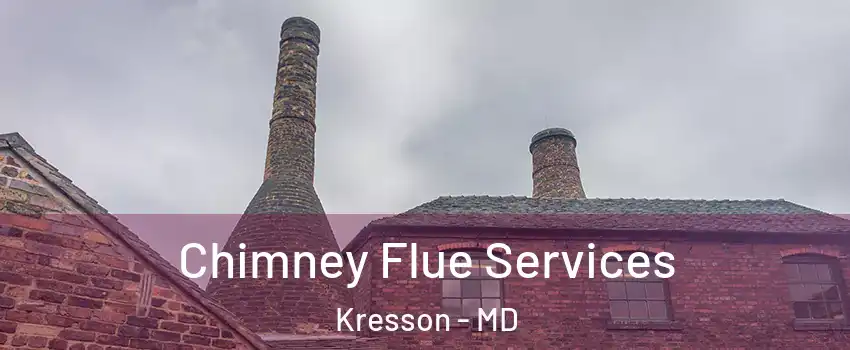 Chimney Flue Services Kresson - MD