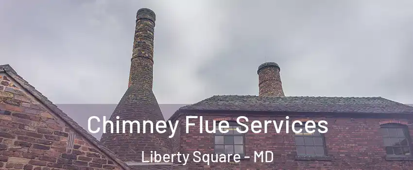 Chimney Flue Services Liberty Square - MD