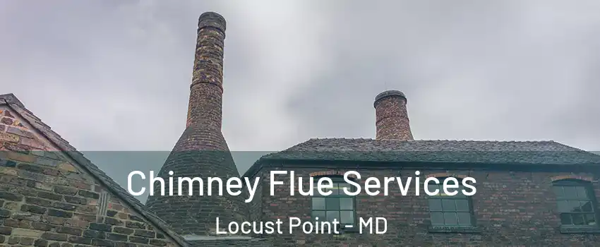 Chimney Flue Services Locust Point - MD