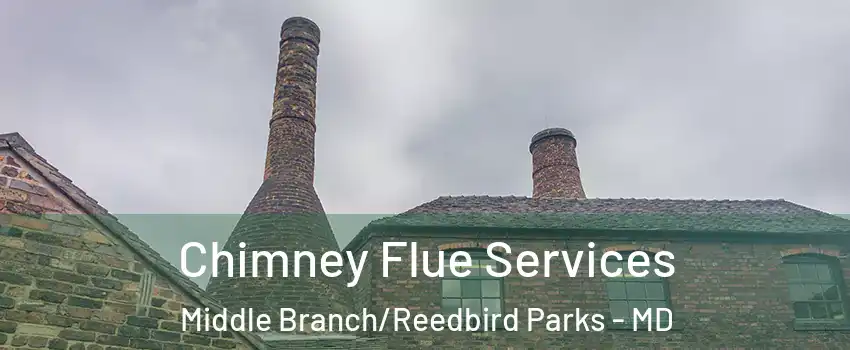 Chimney Flue Services Middle Branch/Reedbird Parks - MD