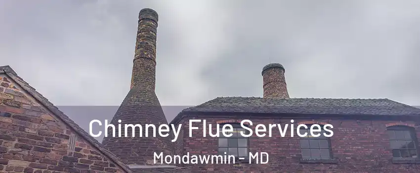 Chimney Flue Services Mondawmin - MD