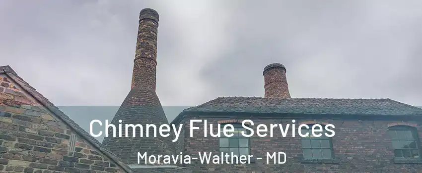 Chimney Flue Services Moravia-Walther - MD