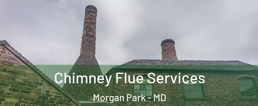 Chimney Flue Services Morgan Park - MD