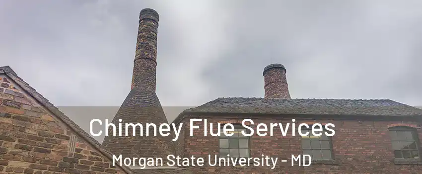 Chimney Flue Services Morgan State University - MD