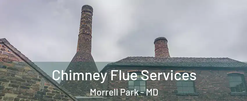 Chimney Flue Services Morrell Park - MD