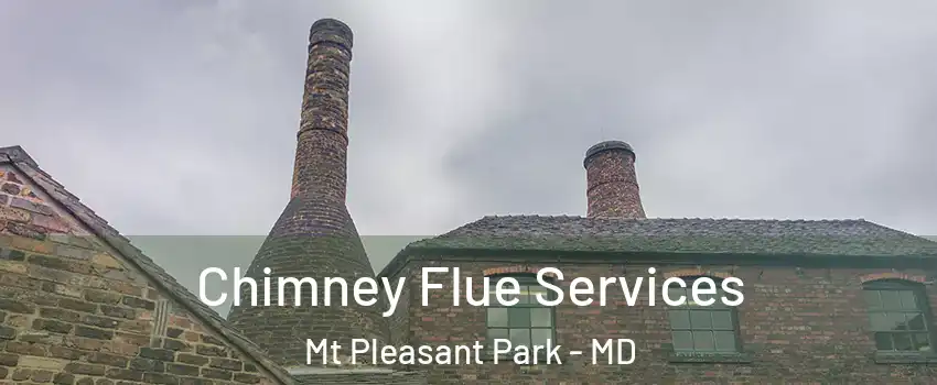 Chimney Flue Services Mt Pleasant Park - MD