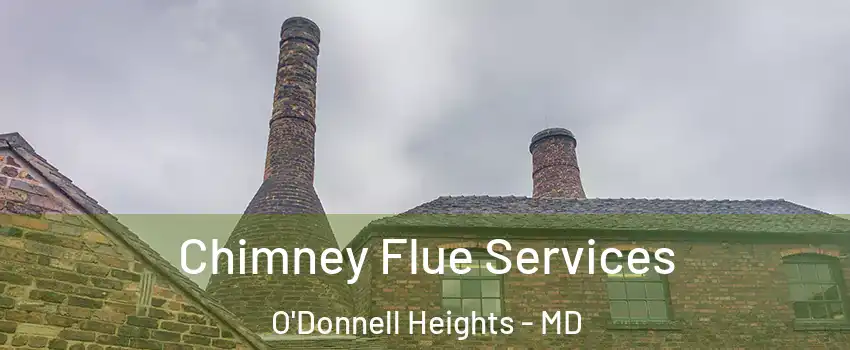 Chimney Flue Services O'Donnell Heights - MD
