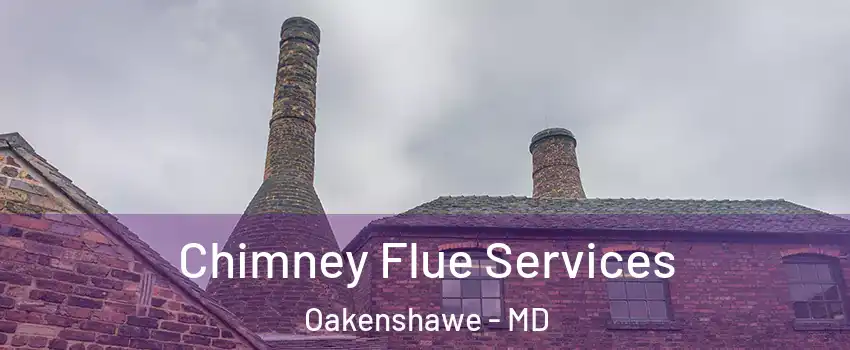 Chimney Flue Services Oakenshawe - MD