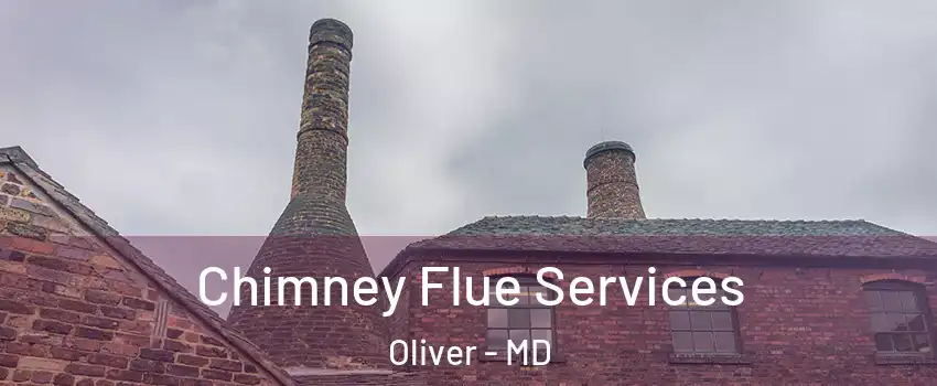 Chimney Flue Services Oliver - MD