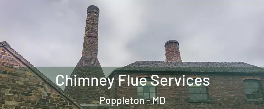 Chimney Flue Services Poppleton - MD