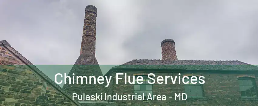 Chimney Flue Services Pulaski Industrial Area - MD