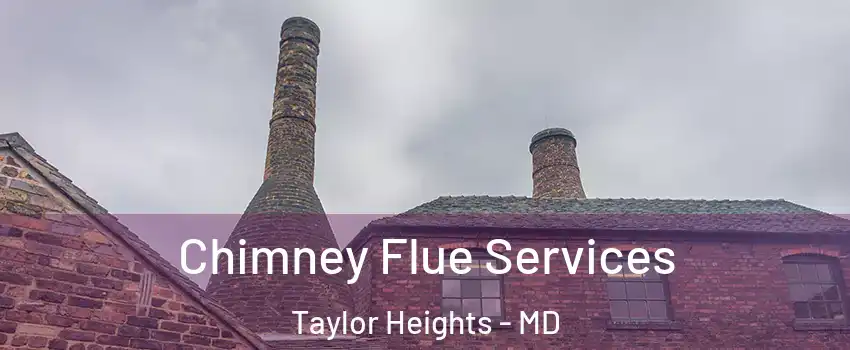 Chimney Flue Services Taylor Heights - MD