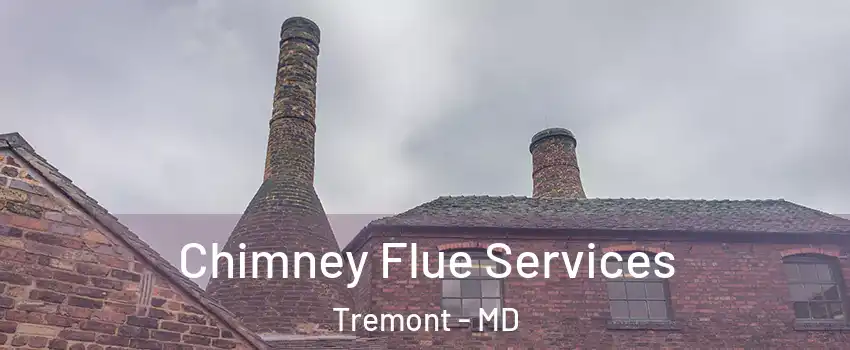 Chimney Flue Services Tremont - MD