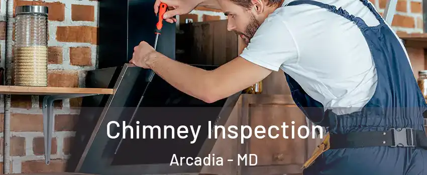 Chimney Inspection Arcadia - MD