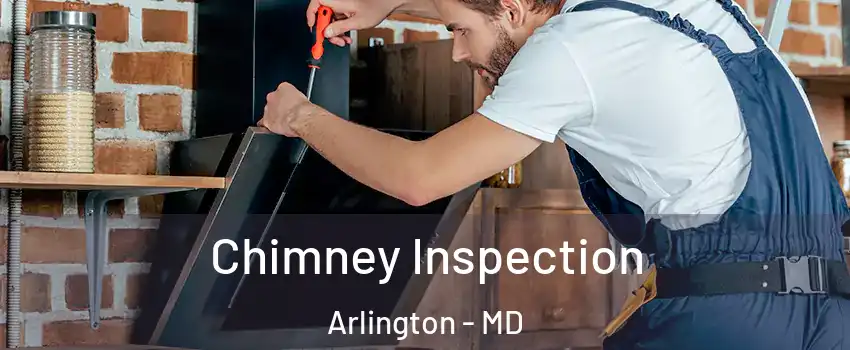 Chimney Inspection Arlington - MD