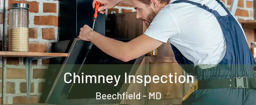 Chimney Inspection Beechfield - MD