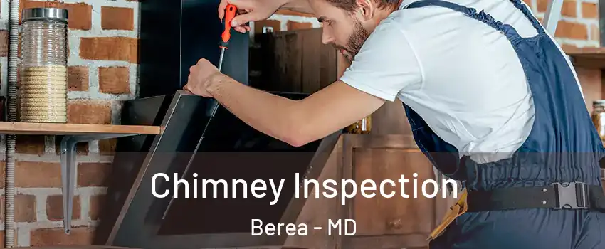 Chimney Inspection Berea - MD