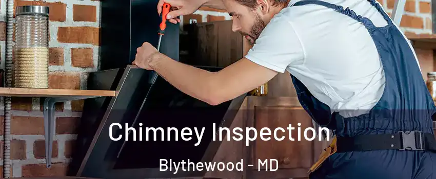 Chimney Inspection Blythewood - MD